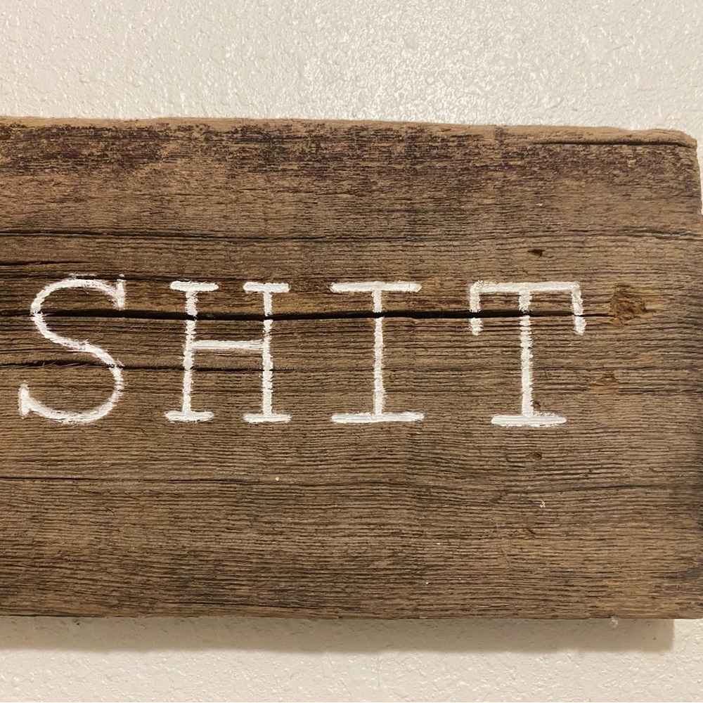 Wooden Sign with saying, “Well Shit.” Funny Sign - a great conversational piece - Picture 3 of 4